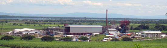 SCBI-Plant-Site