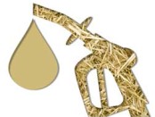 Clariant ties up with Chemtex to promote 2G biofuel in China