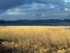 Rosneft and BP to cooperate on carbon management and sustainability