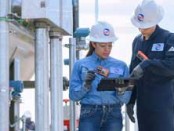 Oxy Low Carbon Ventures, Cemvita Factory to develop pilot plant for CO2-to-bio-ethylene technology