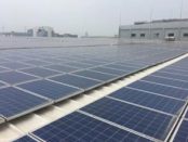 Solvay/3TREES collaborate on PV membrane roofing