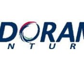 Indorama Ventures considering lithium-ion battery solvent plant in US
