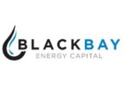 Black Bay acquires Merichem’s catalyst biz; expands sulphur treatment