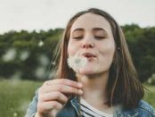 (Photo from Vianode website)