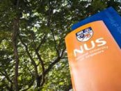 Palm oil companies not adhering to global ESG standards due to investors, Singapore study says