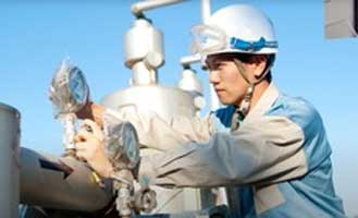 Mitsubishi-Gas Mitsubishi Gas Chemical halts construction of MXDA facility in Netherlands