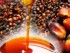 palm oil