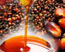 Malaysia unhappy with EU palm oil restrictions, files WTO complaint