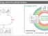Rapid expansion in carbon capture industry for net zero targets