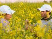 Nuseed and BP to accelerate market adoption of low-carbon biofuel feedstock