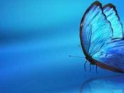 Perstorp announces toxicity targets for 2030