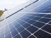 Borealis and Verbund construct PV park at Austrian facility