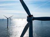 Borealis/Eneco in second renewable energy agreement for Belgian facility