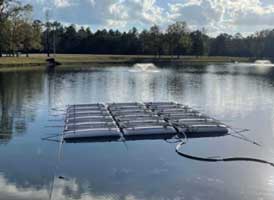 BASF/Noria Energy install floating solar system at US site