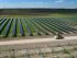 BP starts construction of solar project in US