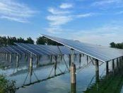 CLP/Envision Energy to provide 100% renewable energy at BASF’s sites in China