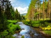 Nouryon launches low-carbon hydrogen peroxide