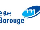 Borouge to hike up ethylene capacity at Ruwais