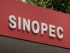 Sinopec to focus on chemicals; expects slower growth