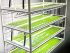 Mazda advances microalgae-based biodiesel towards practical use